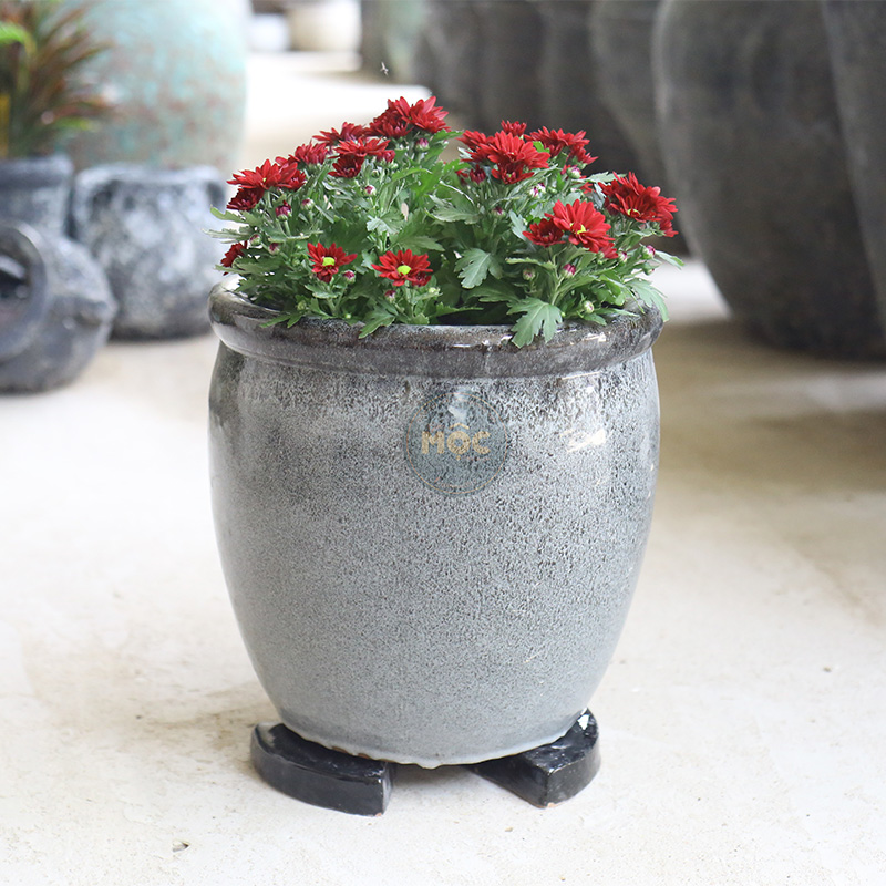 3449 Chân Kê Tam Giác Loại 2