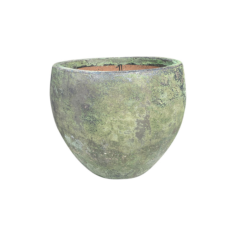 Wax Xanh Rêu