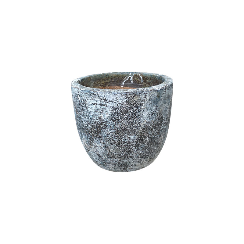 Wax Xanh Rêu