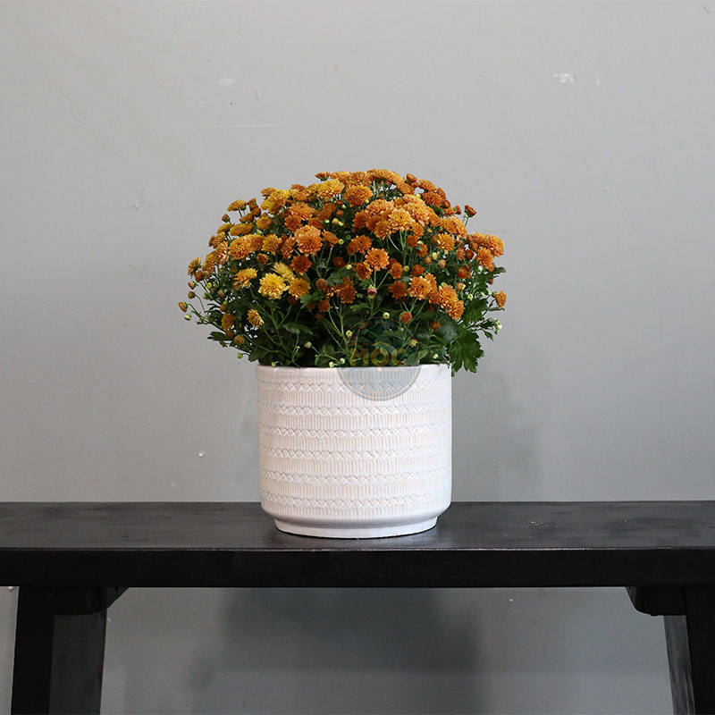 4219 ID Trụ Hoa Văn 21x21x18