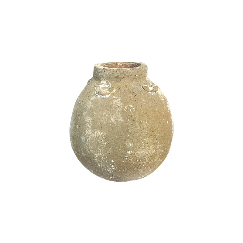 San Hô Vàng