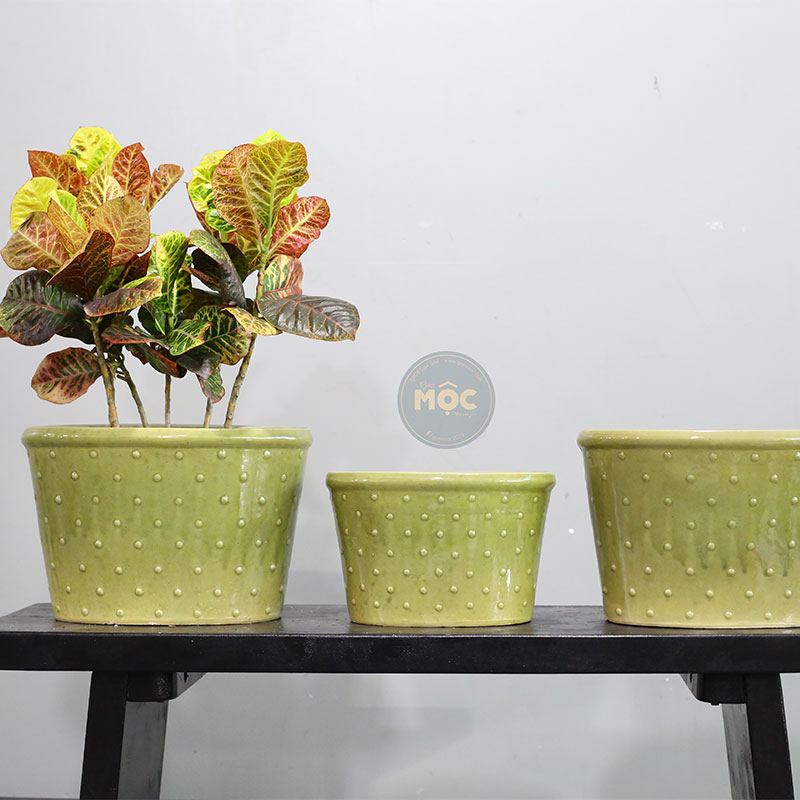 3534 ID Oval Chấm Bi 33x22x22